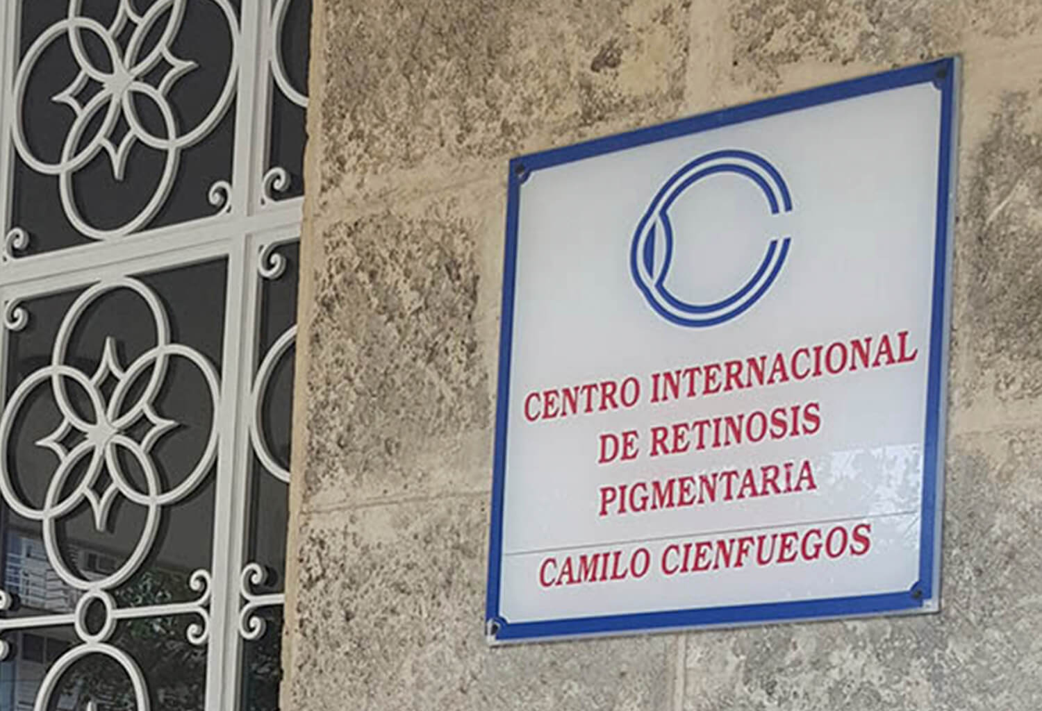 Retinitis Pigmentosa